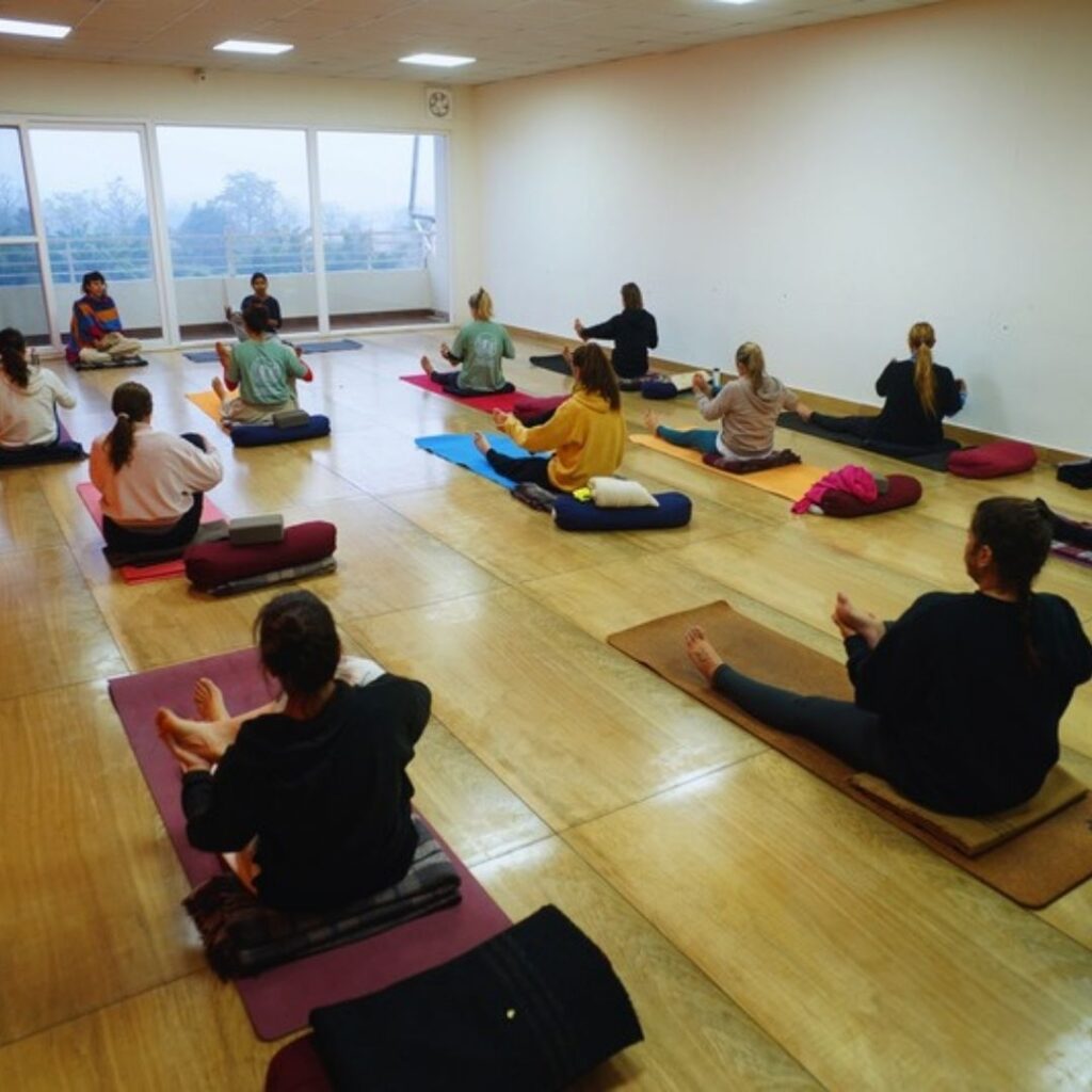 viaje a la india desde argentina